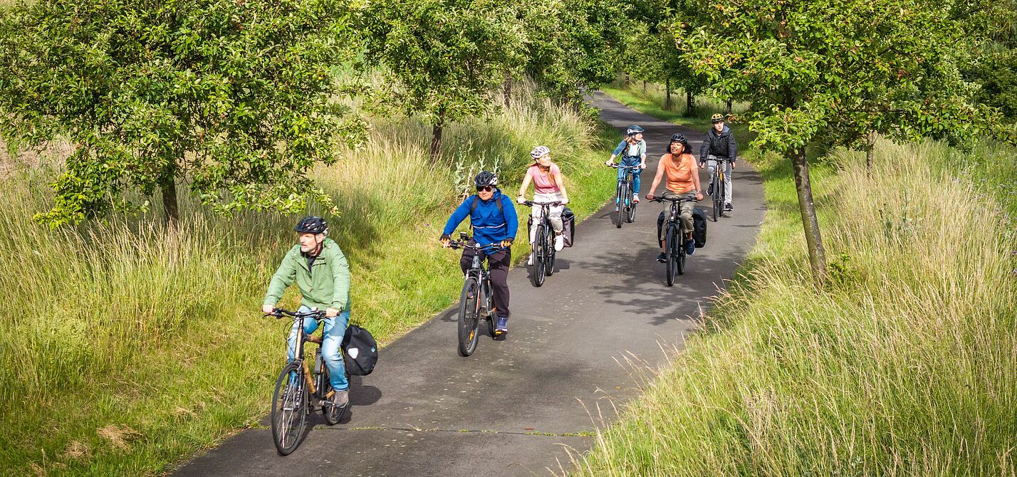 Zertifizierte ADFC-TourGuides sorgen für erlebnisreiche und sichere Radtouren. Zertifizierte ADFC-TourGuides sorgen für erlebnisreiche und sichere Radtouren.