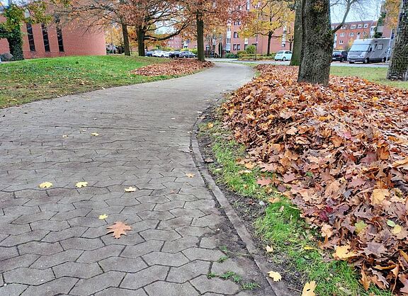 Ortsgruppe Langenhagen im Fahrrad-Club ADFC Region Hannover e.V. -  GEHT! Liebe Radfahrerinnen und Radfahrer: DIES ist die Situation für Radfahrende in Langenhagen ....