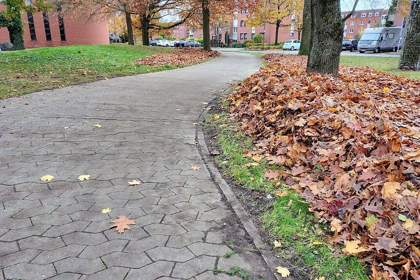 Blätter Ortsgruppe Langenhagen im Fahrrad-Club ADFC Region Hannover e.V. - GEHT! Liebe Radfahrerinnen und Radfahrer: DIES ist die Situation für Radfahrende in Langenhagen ....