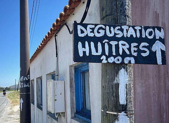DEGUSTATION HUÎTRES - Schlürf-Verkostung von Austern bei der Radtour durch Frankreich- Urheberrecht: Friedhelm Steidel / ADFC Langenhagen