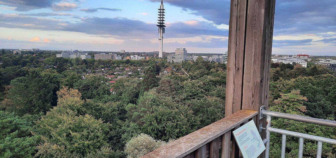 Telemax Fernsehturm Blick vom Eilenriede Turm Waldhochhaus Hannover Waldstation Auf Augenhöhe mit dem "Telemax" in Hannover, fast jedenfalls ;-)