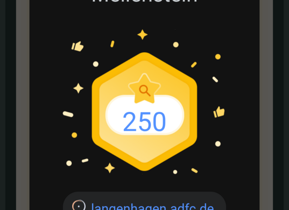 ❤️-lichen Dank an die Besucher:innen unserer Webseite: SEO-Erfolg: Zweihundertfünfzig!