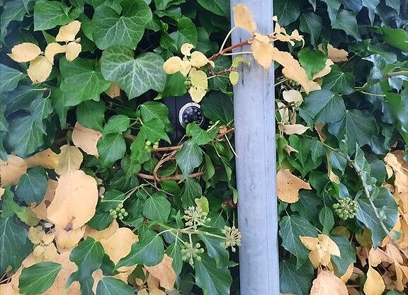 "Am Tausch-o-Mat": Geocache beim ADFC Langenhagen