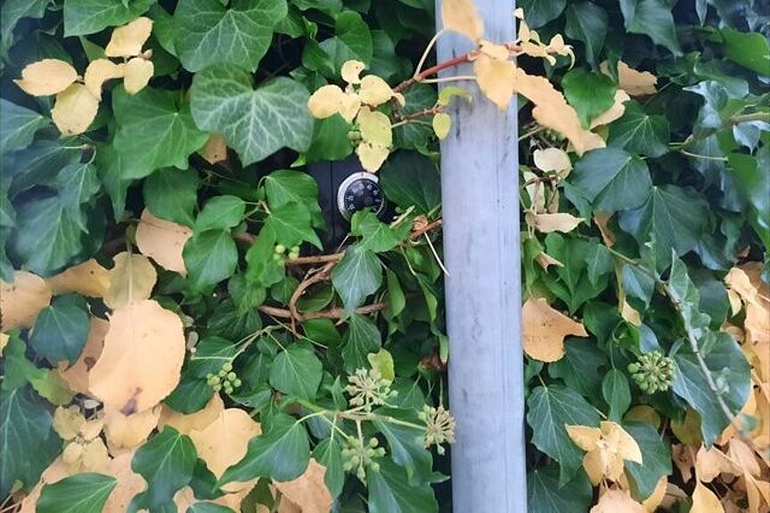 Safe sichtbar? "Am Tausch-o-Mat": Geocache beim ADFC Langenhagen "Am Tausch-o-Mat": Geocache beim ADFC Langenhagen