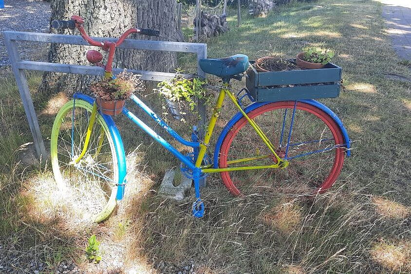 17 Bild 16 - 07/2025: Klausdorf, Landkreis Vorpommern-Rügen, nordwestlich von Stralsund. - Urheberrecht: R.S. / ADFC Langenhagen