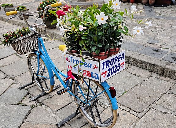 Fotografiert in der Stadt Tropea in Kalabrien/Italien: Danke für dieses schöne Bild aus seiner Heimatstadt an Luigi B.