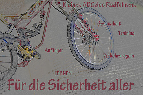 aufbau fahrradsattel Racing – Forrider ROSE Bikes Bern Westside Style:Lederbraun Typ 1 Category:E Bike Trekking_SHIMANO BR MT420 4 Kolben