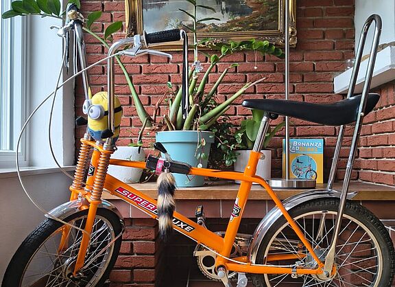 Bild 12 - Das echte: BONANZA SuperDeluxe - Michael Roth, ADFC Burgdorf-Uetze / ADFC Langenhagen