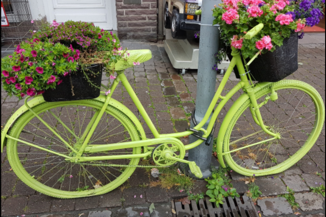 8 Bild 8 - 06/2020: Höxter