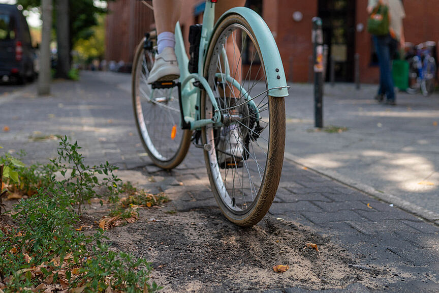 Defekter Radweg Radweg mit Schlagloch und Baumwurzeln
